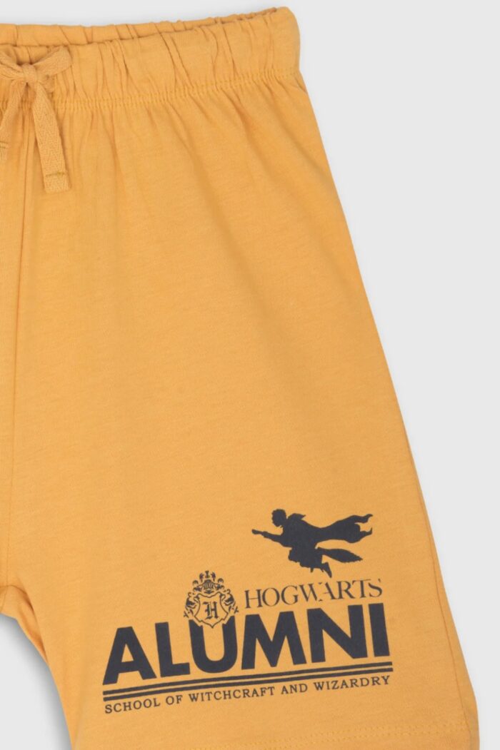 Harry Potter Hogwarts Classic Shorts Set